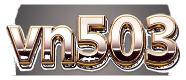 vn503 logo